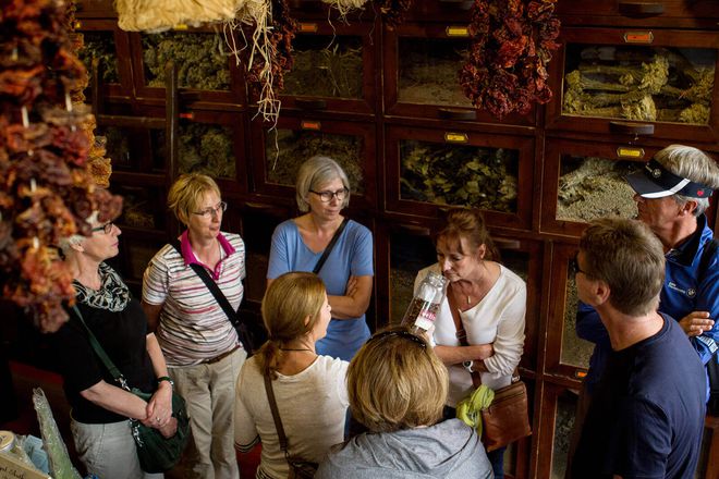 The Delicious Athens Food Tour gallery image 13